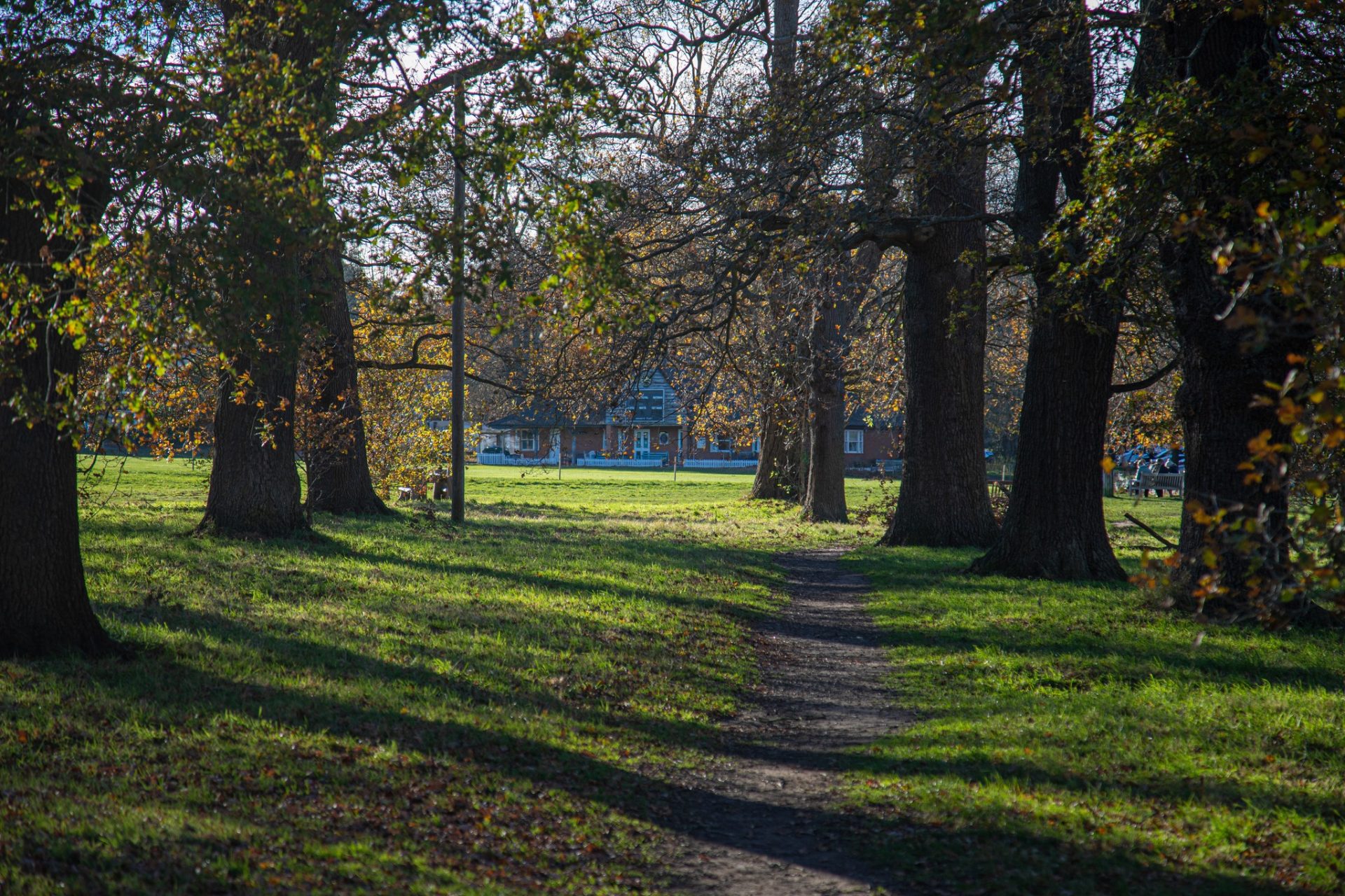 Hartley Wintney Cricket Green