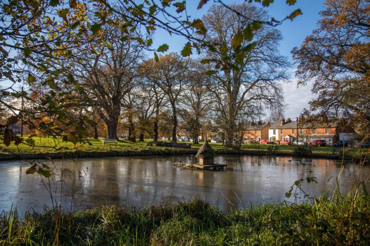 Hartley Wintney Pond